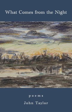 Cover What Comes from the Night (eBook, ePUB)