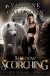 Shadow Scorching: An Urban Fantasy... - Bild 1