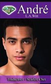 André (Les Gentlemen de Seattle, #5) (eBook, ePUB)