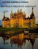 Between Present And Past (eBook, ePUB) Between Present And Past (eBook, ePUB)