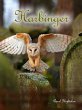 Harbinger (eBook, ePUB) - Bild 1