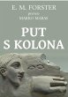 Put s Kolona (eBook, ePUB) - Bild 1