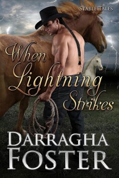 When Lightning Strikes (eBook, ePUB) - Foster, Darragha