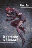 Unremembered and Unimportant (eBook, ePUB)