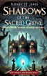 Shadows of the Sacred Grove - Journey... - Bild 1