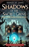 Shadows of the Sacred Grove - Journey Through Darkness to Restore the Light (Sidney St. James Adventure Series, #5) (eBook, ePUB)