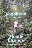 Vagabond dans un Monde Étrange (ApaShanko, #2) (eBook, ePUB) Vagabond dans un Monde Étrange (ApaShanko, #2) (eBook, ePUB)