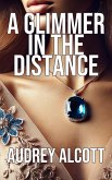 A Glimmer in the Distance (eBook, ePUB)