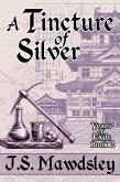 A Tincture of Silver (Years of Exile, #2) (eBook, ePUB) A Tincture of Silver (Years of Exile, #2) (eBook, ePUB)