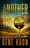 Another Try (eBook, ePUB)
