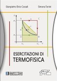 Esercitazioni di Termofisica (eBook, ePUB)