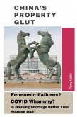 China's Property Glut: Economic Failures? COVID Whammy? Is Housing Shortage Better Than Housing Glut? (eBook, ePUB)