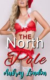 The North Pole (eBook, ePUB)
