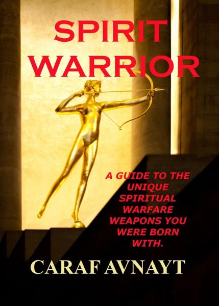 Spirit Warrior (eBook, ePUB)