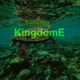 Saltwater KingdomE (Saltwater of the rising sea, #1) (eBook, ePUB)