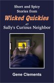 Sally's Curious Neighbor (Wicked Quickies, #7) (eBook, ePUB)