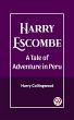 Harry Escombe A Tale of Adventure in... - Bild 1