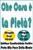 Che Cosa è La Pietà (eBook, ePUB)