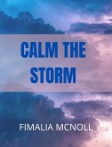 Calm the Storm (Christian Motivation) (eBook, ePUB) Calm the Storm (Christian Motivation) (eBook, ePUB)
