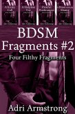 BDSM Fragments #2 (Filthy Fragments, #7) (eBook, ePUB) BDSM Fragments #2 (Filthy Fragments, #7) (eBook, ePUB)