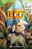 A Mysterious Egg in the Forest (eBook, ePUB)