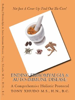 Cover Ending Fibromyalgia & Auto-Immune Disease: A Comprehensive Holistic Protocol (eBook, ePUB)