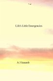 Life's Little Emergencies (eBook, ePUB)
