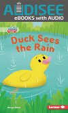 Duck Sees the Rain (eBook, ePUB)
