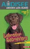 Labrador Retrievers (eBook, ePUB)