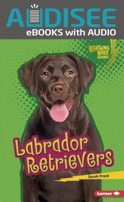 Cover Labrador Retrievers (eBook, ePUB)