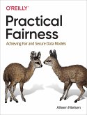 Practical Fairness (eBook, PDF)