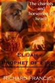 Elijah Prophet of Fire (eBook, ePUB)