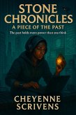 Stone Chronicles: A piece of the past (eBook, ePUB)
