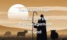 Renewed Hope- How to Find Encouragement... - Bild 1