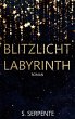 Blitzlichtlabyrinth (eBook, ePUB) - Bild 1
