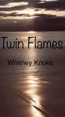Twin Flames (Twin Flames Series, #1) (eBook, ePUB) Twin Flames (Twin Flames Series, #1) (eBook, ePUB)
