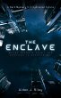 The Enclave (eBook, ePUB) - Bild 1