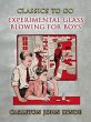 Experimental Glass Blowing for Boys... - Bild 1