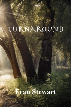 Turnaround (eBook, ePUB) - Stewart, Fran