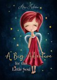 A Big Adventure for This Little Soul (eBook, ePUB)