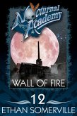 Nocturnal Academy 12 - Wall of Fire (eBook, ePUB) Nocturnal Academy 12 - Wall of Fire (eBook, ePUB)