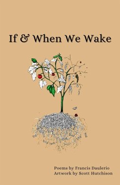 If & When We Wake (eBook, ePUB) - Daulerio, Francis