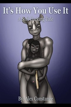 It's How You Use It (eBook, ePUB) - Constance, Alex