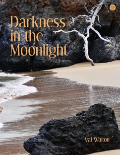 Darkness in the Moonlight (eBook, ePUB) - Walton, Val