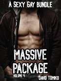 Massive Package - A Sexy Gay Bundle Volume 4 (eBook, ePUB) Massive Package - A Sexy Gay Bundle Volume 4 (eBook, ePUB)