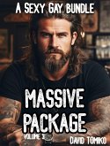 Massive Package - a Sexy Gay Bundle Volume 3 (eBook, ePUB) Massive Package - a Sexy Gay Bundle Volume 3 (eBook, ePUB)