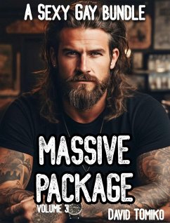 Cover Massive Package - a Sexy Gay Bundle Volume 3 (eBook, ePUB)