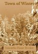 Town of Winter (eBook, ePUB) - Bild 1