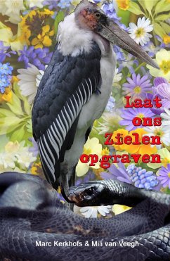 Laat ons zielen opgraven (eBook, ePUB) Cover Laat ons zielen opgraven (eBook, ePUB)