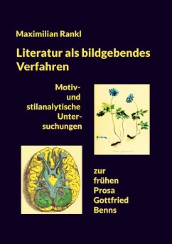 Literatur als bildgebendes Verfahren (eBook, ePUB)